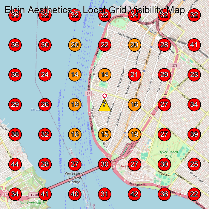 Elcin Aesthetics GeoGrid visibility map for Medical Spa in Brooklyn